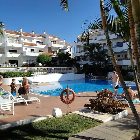 Flowers Playa De Cristianos Los Cristianos (Tenerife)